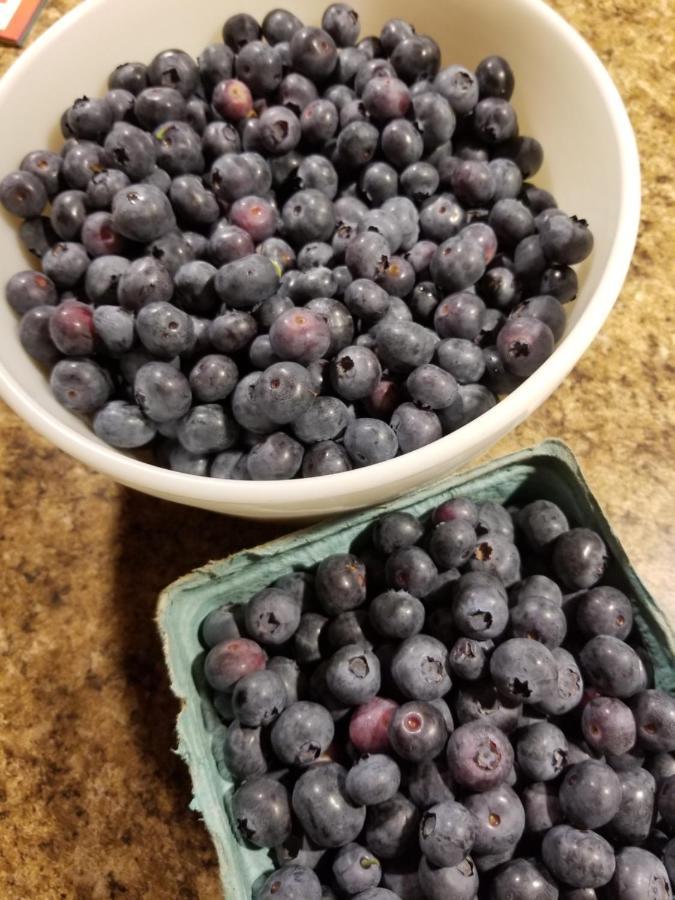 Blueberry Fields Bed & Breakfast Jefferson Kültér fotó